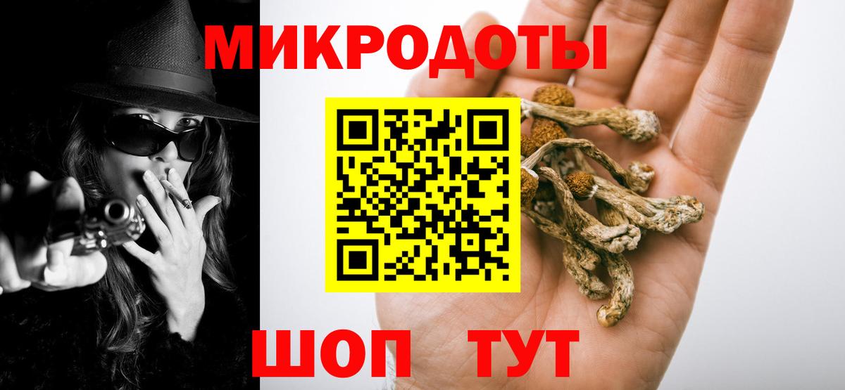 Волгоград  Псилоцибиновые грибы ЛСД  Вход с VPN  Галлюциногенные грибы Psilocybe 